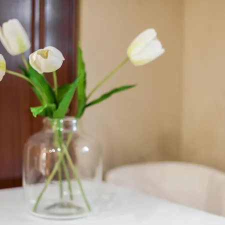 Vintage House Santa Catarina Apartment Lissabon